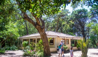 LOS PINARES HISTRICOS, CADA VEZ MS CERCA DE VOLVER A SER GESELINOS